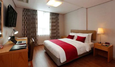 Standard Double Room